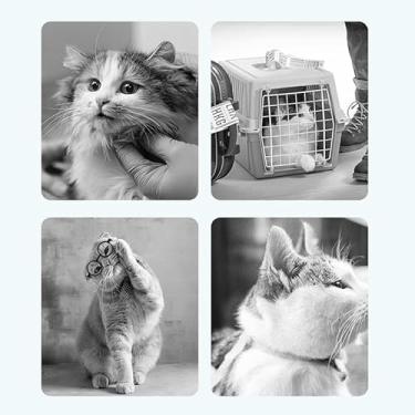 Imagem de Acouto Trela ​​retrátil para Cães, Cães Pequenos e Gatos de até 44 Libras – Design Sem Emaranhados, Alça Antiderrapante e Recursos Reflexivos, Caminhadas e Aventuras Seguras (5m)