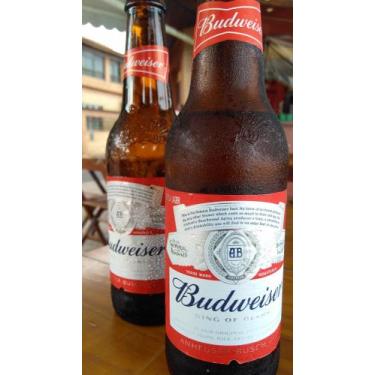 Imagem de Cerveja budweiser - Budwisier