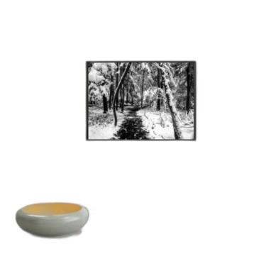 Imagem de Quadro Fotografia Neve Na Floresta 24X18Cm - Com Vidro