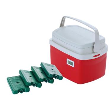 Imagem de Caixa Térmica 5 litros Cooler Termômetro Digital Simples e Certificado de Calibração com 4 Gelos Reutilizáveis 200 ML para Transporte de Refrigerados e Congelados