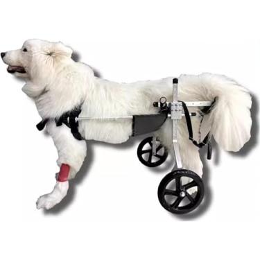 Imagem de Cadeira de rodas para cães Cadeira de rodas para cães médio grande para pernas traseiras, Dachshund com deficiência assistida para recuperação de caminhantes para cães, carrinho de reabilita