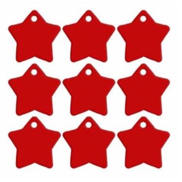 Imagem de Plaquinha de Identificação para pets e animais de estimação com gravaç