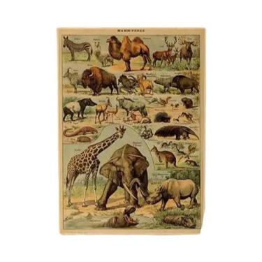 Imagem de Cartazes Vintage com Estampa de Cogumelos, Frutas e Vegetais - Arte Bo