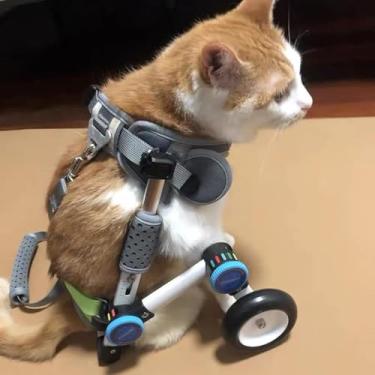 Imagem de Cadeira De Rodas Para Cães Ajustável Cadeira De Rodas Leve Para Cães, Carrinho Para Animais De Estimação Para Gatos Pequenos Com Arnês Macio, Assistência Para Deficien, XXXS Size