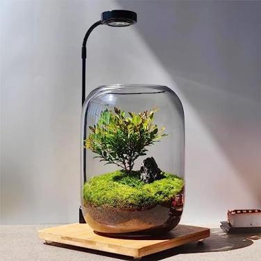 Imagem de Kit de terrário de Natal, terrário de plantas de vidro DIY, vaso micropaisagístico de 15 x 21 cm com luz, boneco de neve e pinheiros, para decoração de mesa de escritório em casa, Wardian, exclusivo