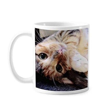 Imagem de Caneca de cerâmica para café e porcelana com estampa de animal e gatos listrados
