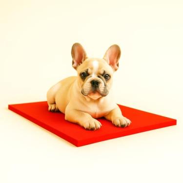 Imagem de Caminha Petlife Para Cães - 70x50cm - Colchonete Impermeável (vermelho)