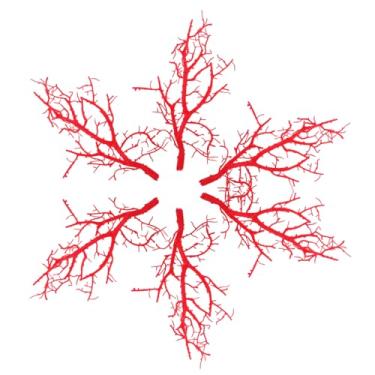 Imagem de GOOHOCHY 6 ramos de coral artificiais, modelos decorativos de galhos para arranjos florais, galhos de árvore falsos para vasos, decoração de casa e projetos de artesanato