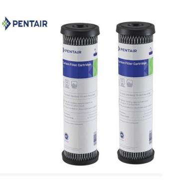 Imagem de 2 Refil Filtro Pentair Celulose carvão ativado 9.3/4" 5 mc