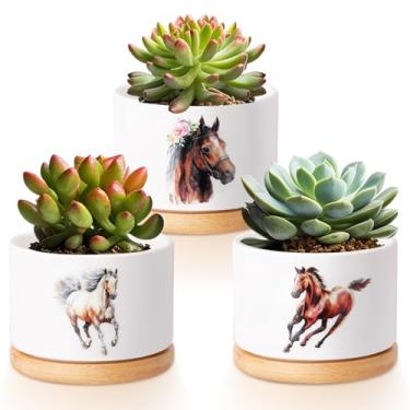 Imagem de Vesici 3 vasos de suculentas de cavalo com drenagem e bandeja de bambu, pequenos vasos de suculentas de cerâmica para mini plantas, cacto, animal, planta, vaso para escritório, decoração de casa para