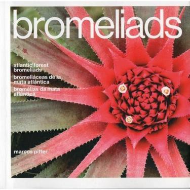 Imagem de Bromélias da Mata Atlântica - Editora brasileira - Paisagem