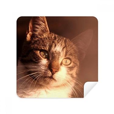 Imagem de Animal Sentimental Cat Simpol Tirar Óculos Pano Limpador de Tela Tecido Camurça Pacote com 2