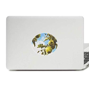 Imagem de Adesivo de notebook com imagem de frutas temperadas frescas com emblema de vinil para laptop