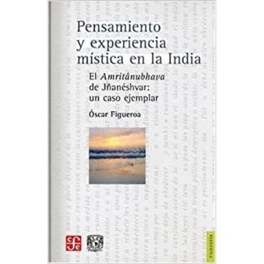 Imagem de Pensamiento Y Experiencia Mística En La India El Amritânubhava De J anéshvar Un Caso Ejemplar