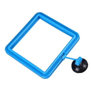 Imagem de Anel de Alimentação de Peixes, Durável Fácil Instalar, Prevenir a Prevenção Alimentos Aquário Aquário Flutuante Alimentador Alimentos Com Copo Sucção para (Quadrado)