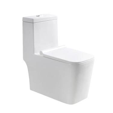 Imagem de Vaso Sanitário Monobloco Esmeralda Quadrado Completo Caixa Acoplada