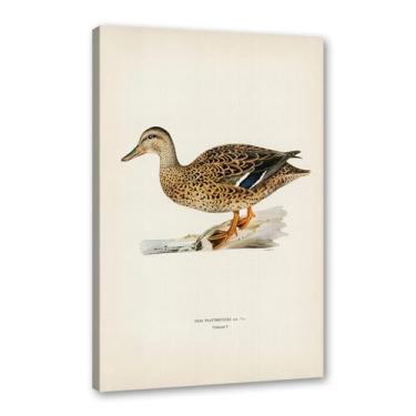 Imagem de Pôster de arte de parede vintage com estampa de pato rústica, pássaros, lago, natureza, retrô, pintura, quadros, decoração de quarto de fazenda (SKU11,20,3 x 30,5 cm = (20 x 30 cm), emoldurado (tela