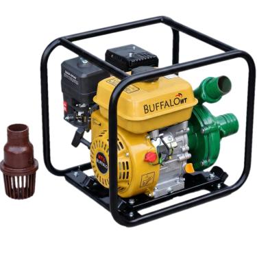 Imagem de Motobomba BFG 2,1/2'' X 2'' Centrífuga Buffalo 60618