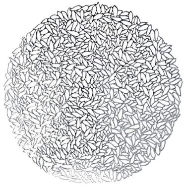 Imagem de Lugar Americano De Plástico Garden Prateado 38cm Lyor Prateado No Voltagev