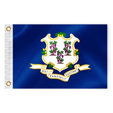 Imagem de Bandeira náutica Connecticut State Boat 30,5 x 45,7 cm dupla face 3 camadas CT bandeira marinha nylon pequeno iate vela pontão barco ATV bicicleta caminhão Jeep motocicleta bandeira latão ilhós
