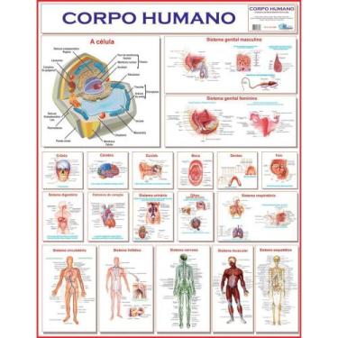 Imagem de Mapa Corpo Humano 120X90 - Multimapas