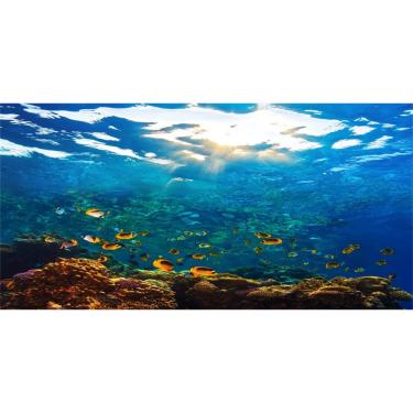 Imagem de Fundo de terrário de aquário YongFoto Underwater World