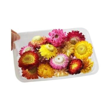 Imagem de Flores Naturais Secas Boho: Cabeças De Margarida, Crisântemo E Girasso