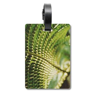 Imagem de Folhas Fotografias Imagem de Planta Natureza Bolsa de Bagagem Etiqueta de Bagagem Etiqueta para Bagagem