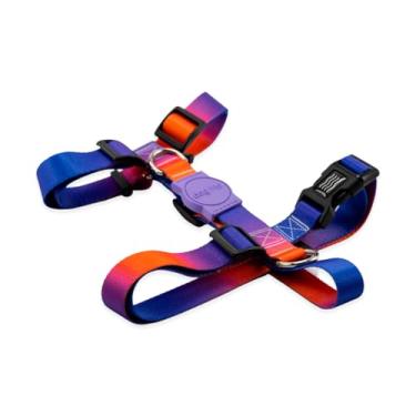 Imagem de Dog Trip Brasil Coleira Peitoral Para Cachorro Cães Modelo H Tradicional Tamanho Porte Grande Médio Pequeno (M, Padang)