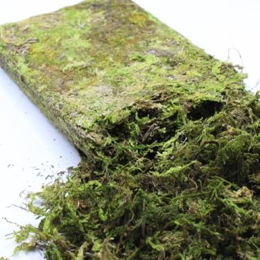 Imagem de DoubleWood Musgo natural da floresta para pequenos animais de estimação, musgo artificial de 150 ml, roupa de cama decorativa e material de ninho para hamsters, gerbos, ratos, degus ou outros animais