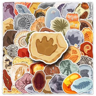 Imagem de Pacote de adesivos Fossil, 50 unidades de amonita fóssil, trilobita, â