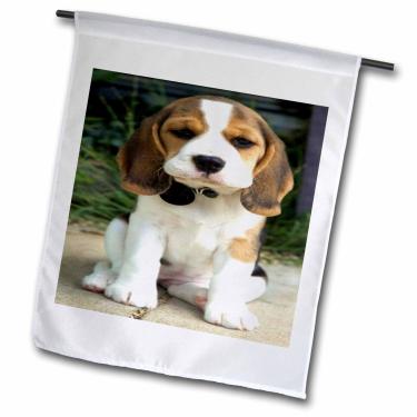 Imagem de 3dRose fl_49290_1 Bandeira de jardim fofa, filhote de beagle, 30 x 45 cm