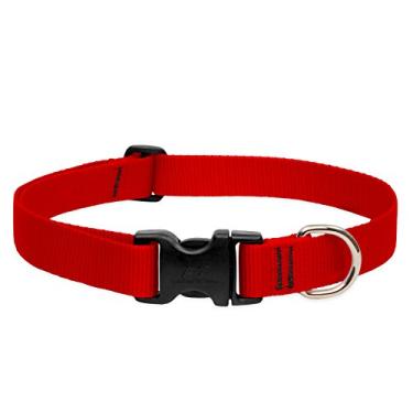 Imagem de LupinePet Coleira ajustável Basics 2,5 cm vermelha 63,5 a 78,7 cm para cães extragrandes