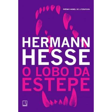 Imagem de Livro - O lobo da estepe