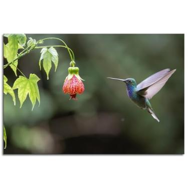 Imagem de 6 Beija-flor, impressões em tela, pássaro, animal, pôster, arte de parede para casa 1 peça decorações não ramificadas 91,4 cm x 61 cm