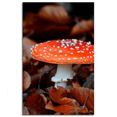 Imagem de 917 Mushroom Wall Art Toadstool Canvas Prints Close Up Poster For Home Conjunto de 1 Decorações Noframed 30.5 cm x 20.3 cm