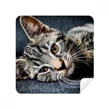 Imagem de Gato listrado gatinho animal relaxamento adorável óculos pano limpador de tela tecido camurça pacote com 2