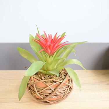 Imagem de Arranjo de Flor Artificial Bromélia Vermelha no Vaso de Cerâmica Com Cipó