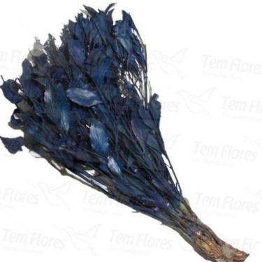Imagem de Carne De Vaca Flor Desidratada Buque Flores Secas - Pense Flores, Azul