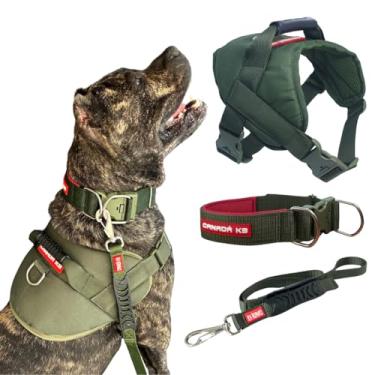 Imagem de Combo Colete G + Coleira + Guia curta com Alça Emborrachada - Canadá K9 (verde-militar)