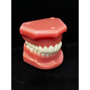 Imagem de Modelo odontológico de ortodontia em Classe I Oclusão Normal Rosa - RO