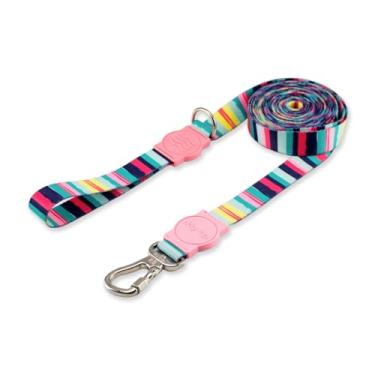 Imagem de Dog Trip Brasil Coleira Guia 10 Metros Para Cães Cachorro Adestramento Passeio Porte Grande Médio Pequeno (M, Oahu)