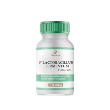 Imagem de Lactobacillus Fermentum 4 Bilhões Ufc 120 Capsulas - Botica Erva Doce