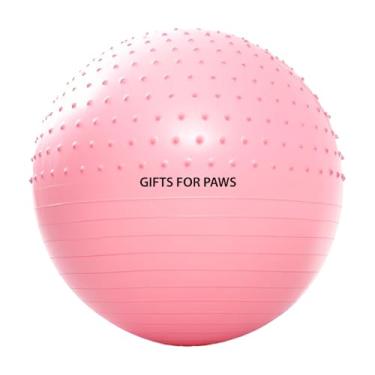 Imagem de GIFTS FOR PAWS Bolas para esportes, bolas infláveis de playground, kickball, academia, exercícios de ioga para adultos