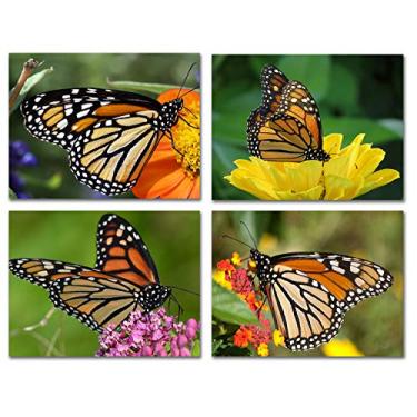 Imagem de Small World Greetings Cartões de notas borboleta monarca 24 contagens em branco dentro com envelopes brancos - Tamanho A2 14 cm x 10,8 cm - Cartões de felicitações de verão - Artigos de papelaria da