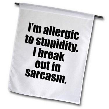 Imagem de 3dRose fl_171937_2"I'm Allergic to Stupidity I Break Out in Sarcasm Bandeira de jardim, 45 x 68 cm
