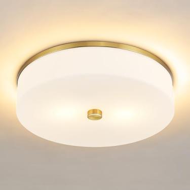 Imagem de LMS Luminária de teto de montagem embutida, luminária de teto moderna de banheiro dourado escovado com tambor branco leitoso persiana acrílica, cozinha, sala de estar, LMS-192