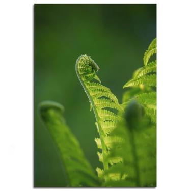 Imagem de Pôster de samambaia impressões em tela verde folhas arte de parede para casa 1 painéis decorações não ramificadas 30,5 x 20,3 cm