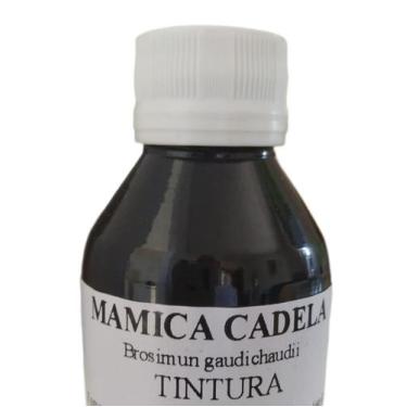 Imagem de Tintura de Mamica de Cadela 100ml - Palmar
