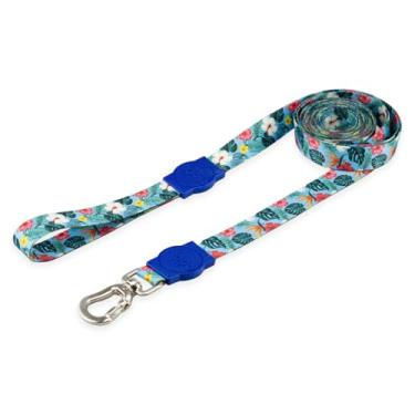 Imagem de Mood Pet Coleira Guia 5 Metros Para Cães Cachorro Adestramento Passeio Porte Grande Médio Pequeno (Sunny Blue, PP)